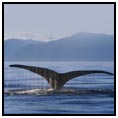 Inside Passage