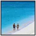 Carnival Imagination